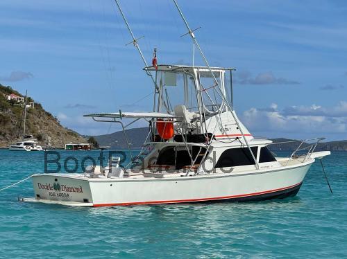 Bertram 31 Open  technische daten 